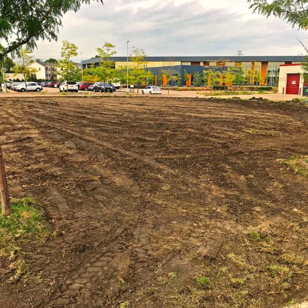 Field of dirt that will become an indigenous medicine garden